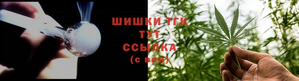 сатива Сатка