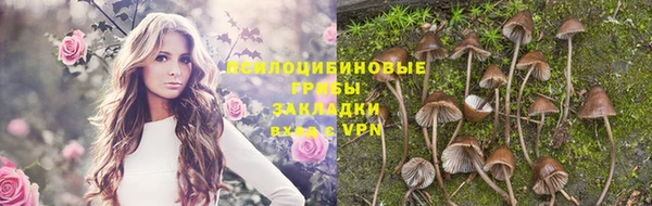 винт Переславль-Залесский