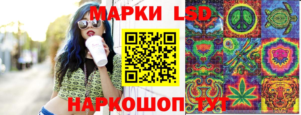 Бошки Шишки Тамбов