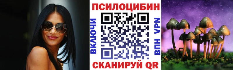 цены наркотик  Тамбов  Галлюциногенные грибы MAGIC MUSHROOMS 