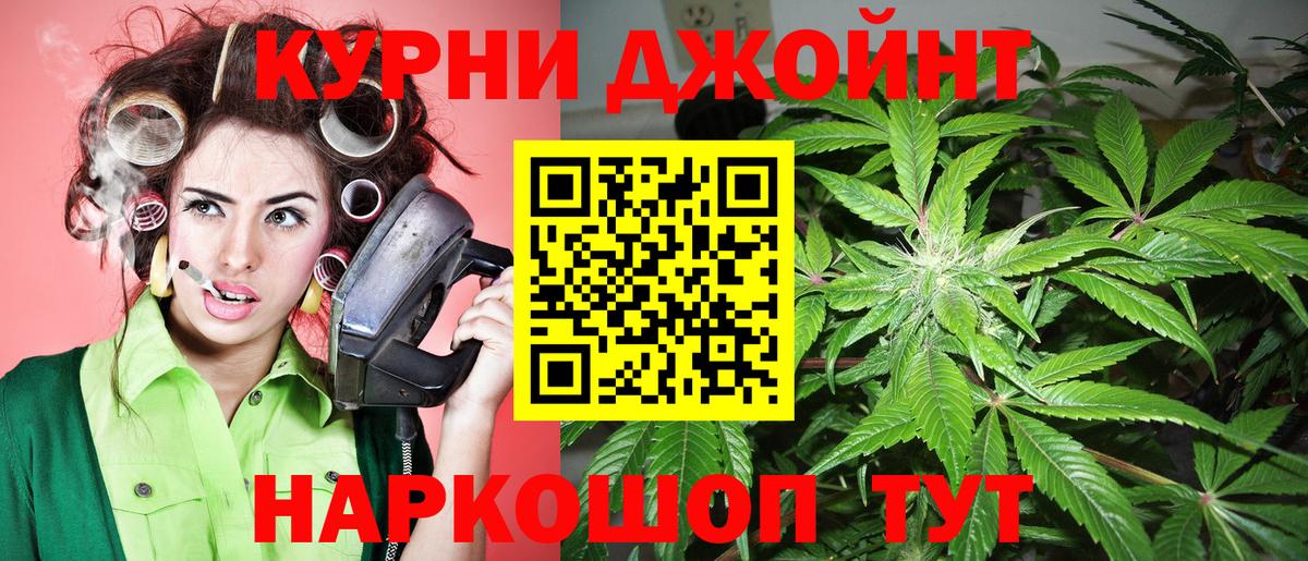 Конопля семена  Марихуана марихуана  Бошки Шишки OG Kush  Тамбов  Вход с VPN 